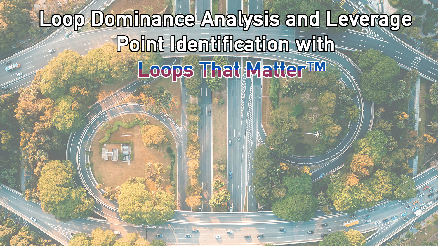 Watch Loop Dominance Analysis and Leverage Point Identification with Loops That Matter®